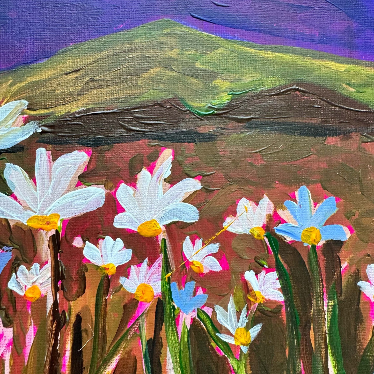 Moonlit Daisy Field