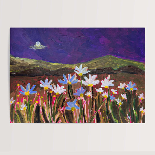 Moonlit Daisy Field