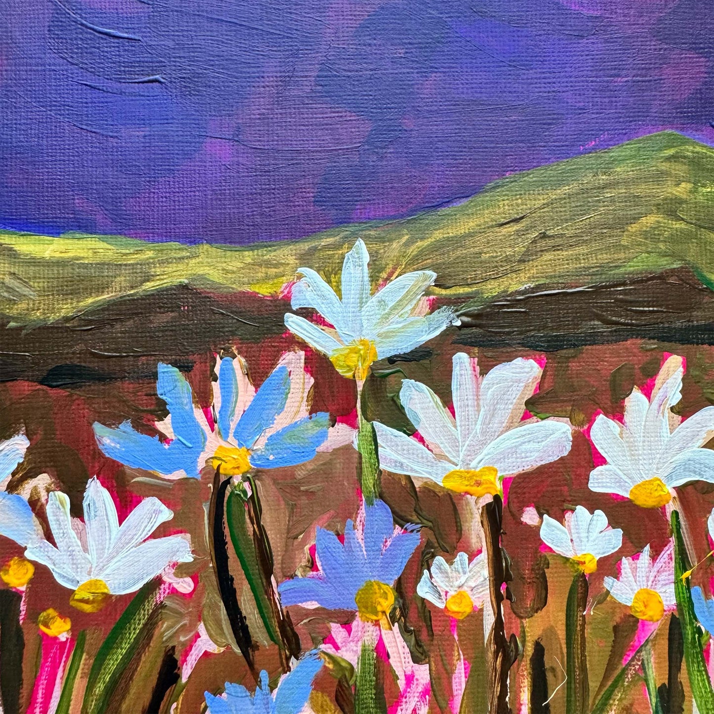 Moonlit Daisy Field
