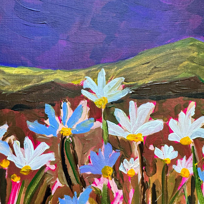 Moonlit Daisy Field